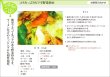 画像11: 三ツ星醤油 900ml 2本入  (11)